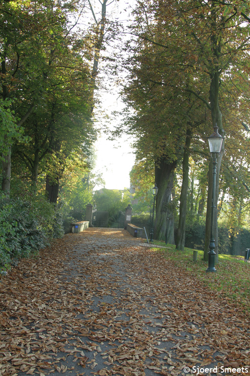 2012-10-21_MG_8671