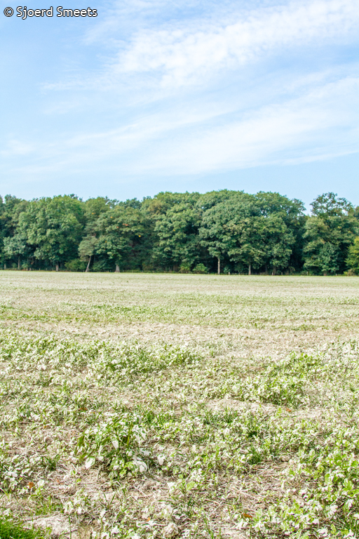 20130928-_MG_2919